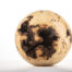 sfera lupa de gorun